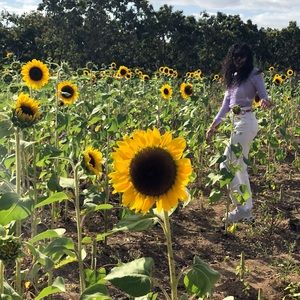 Meet your Posher, Karmel